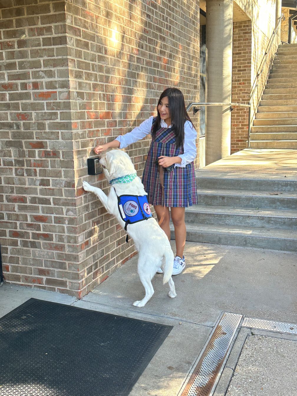 Retired Service Dog Helps AP Psychology Students