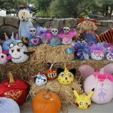 Pumpkin Patch Achieves Record-Breaking Success Pumpkin Patch Achieves Record-Breaking Success