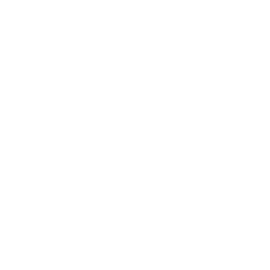 Care Committee
