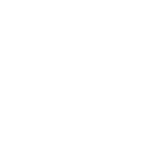 Check Request