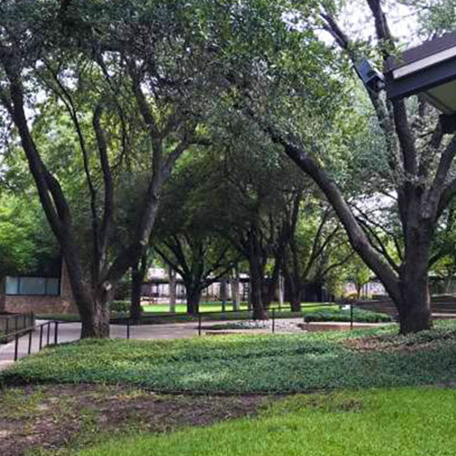 Master Plan at FWCD